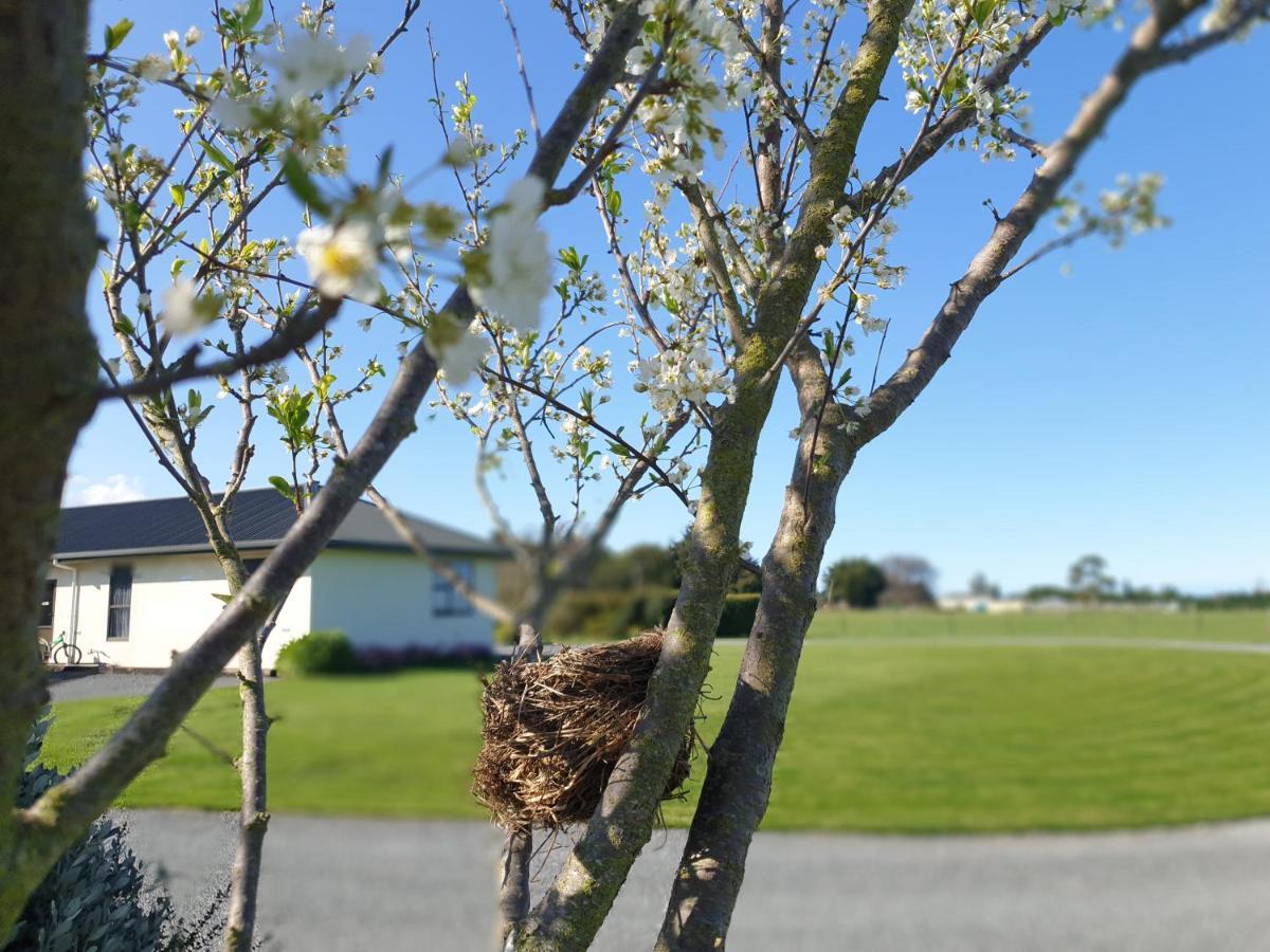 Te Mahuru Retreat Kaikoura Bagian luar foto
